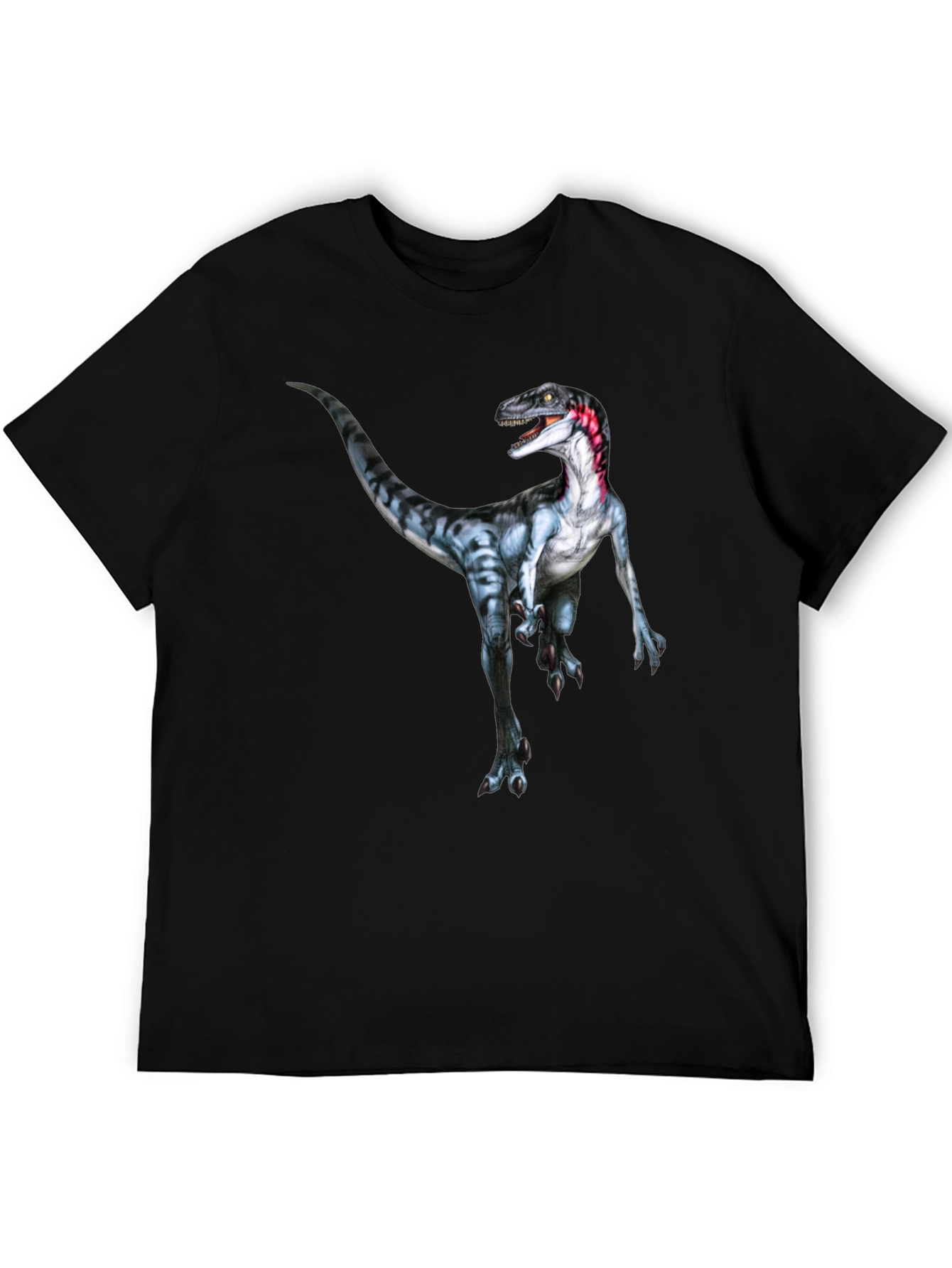 Dinosaur Graphic Print T-Shirt