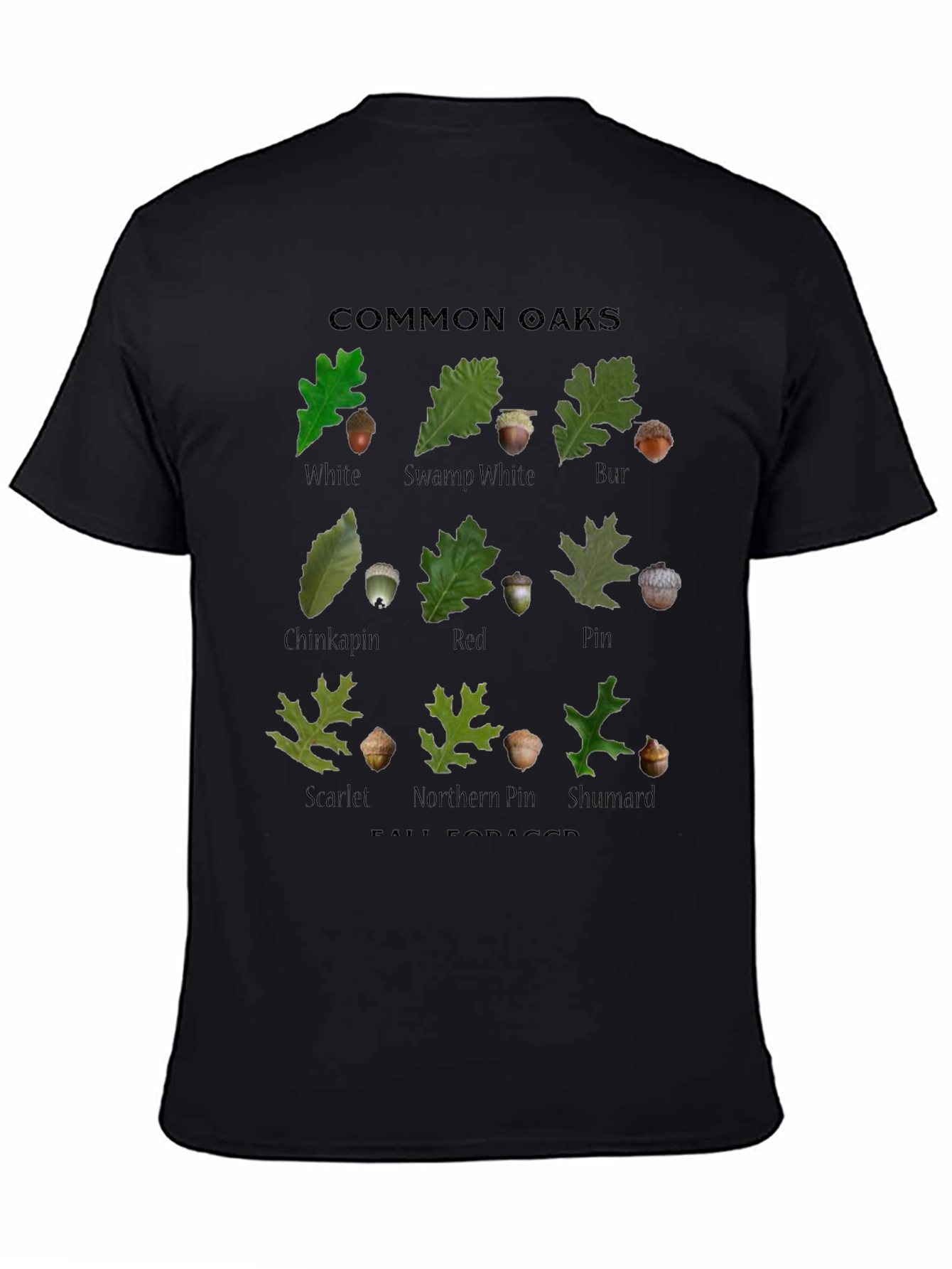 Common Oaks T-Shirt - Fall Forager Botanical Tee