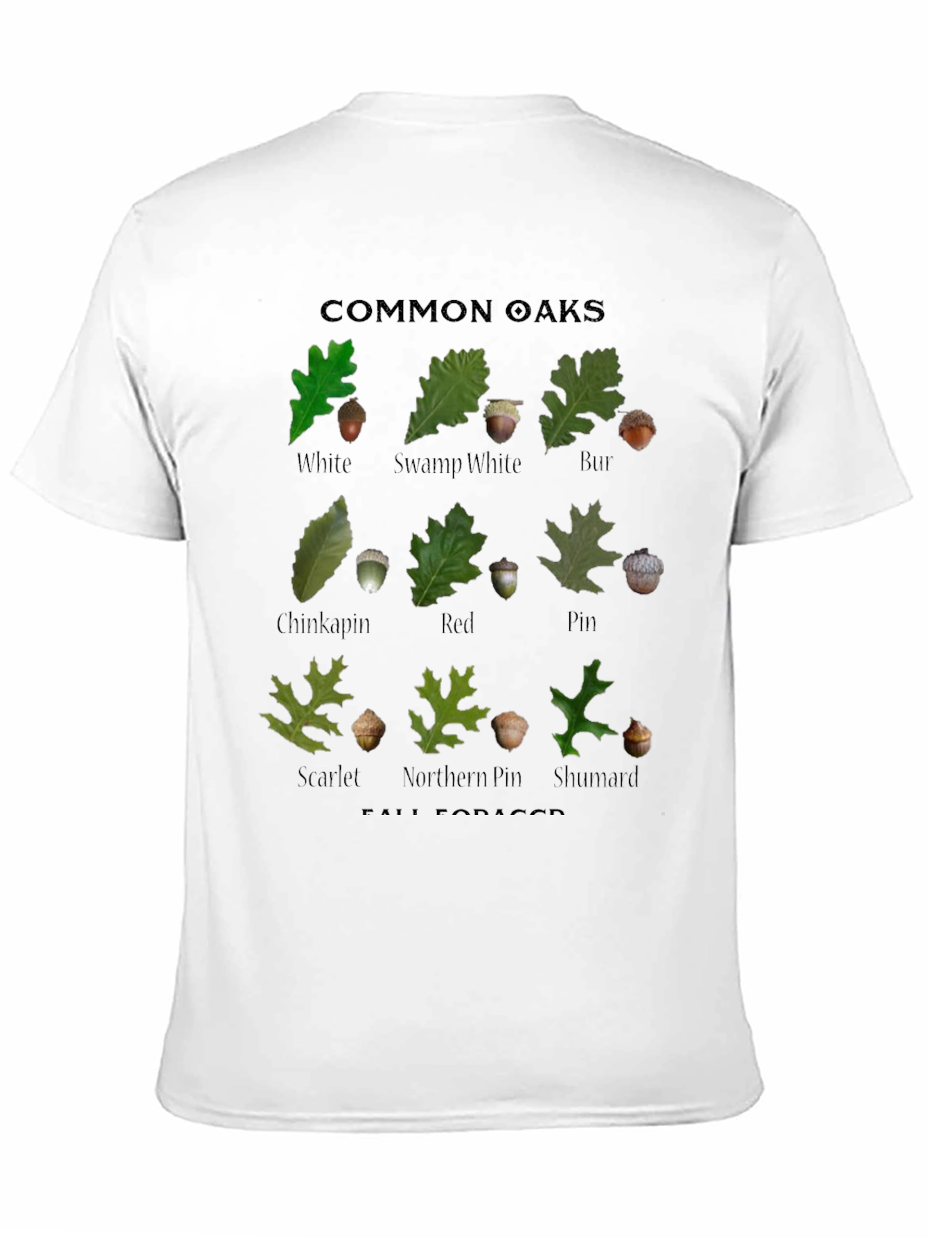 Common Oaks T-Shirt - Fall Forager Botanical Tee