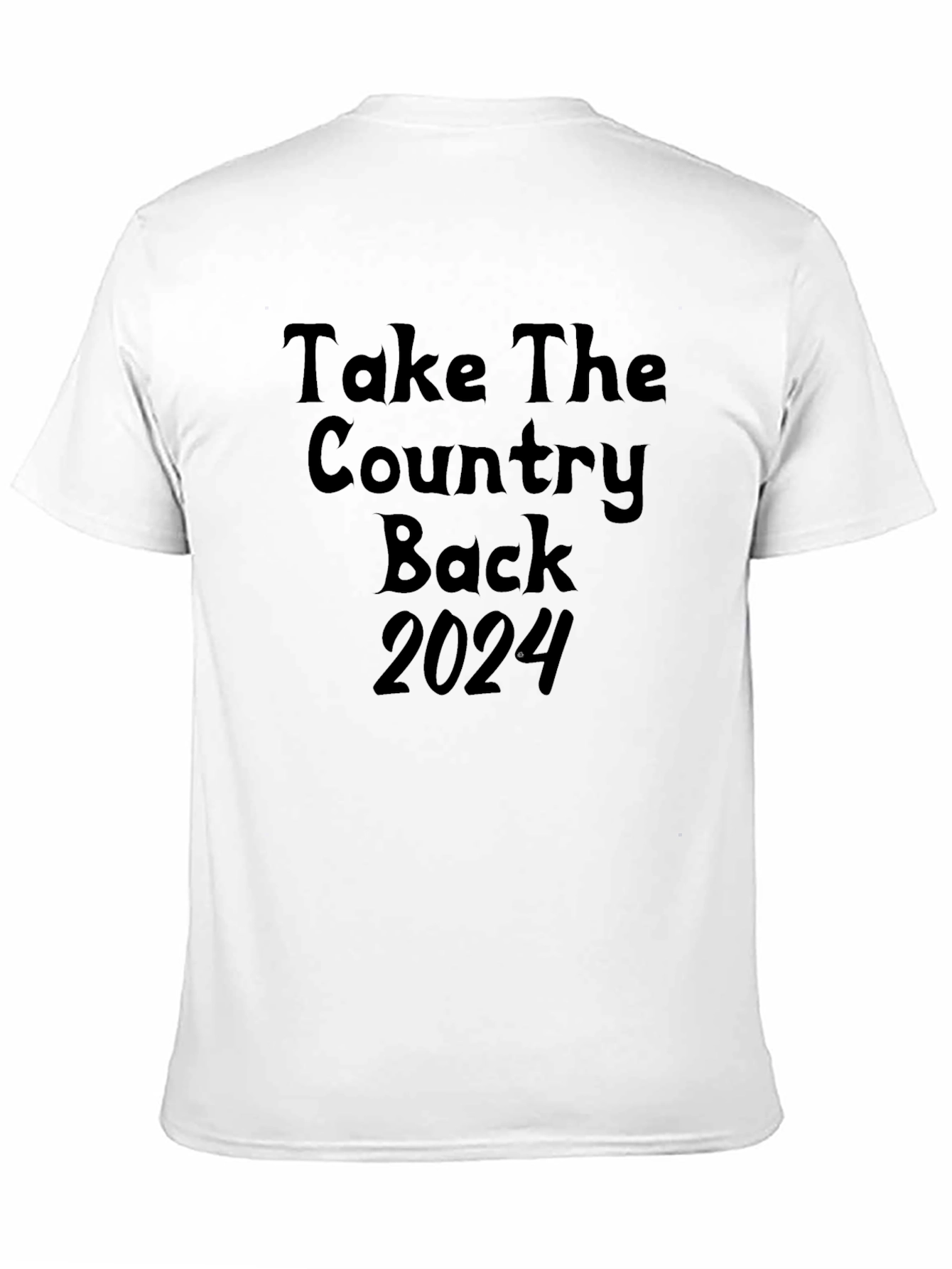 Take the Country Back 2024 Graphic Tee