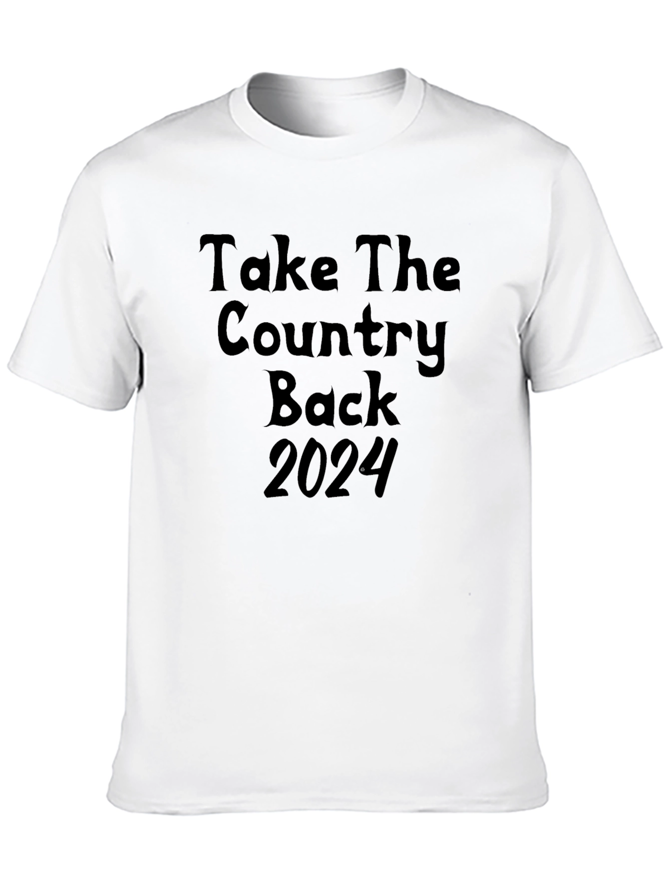 Take the Country Back 2024 Graphic Tee