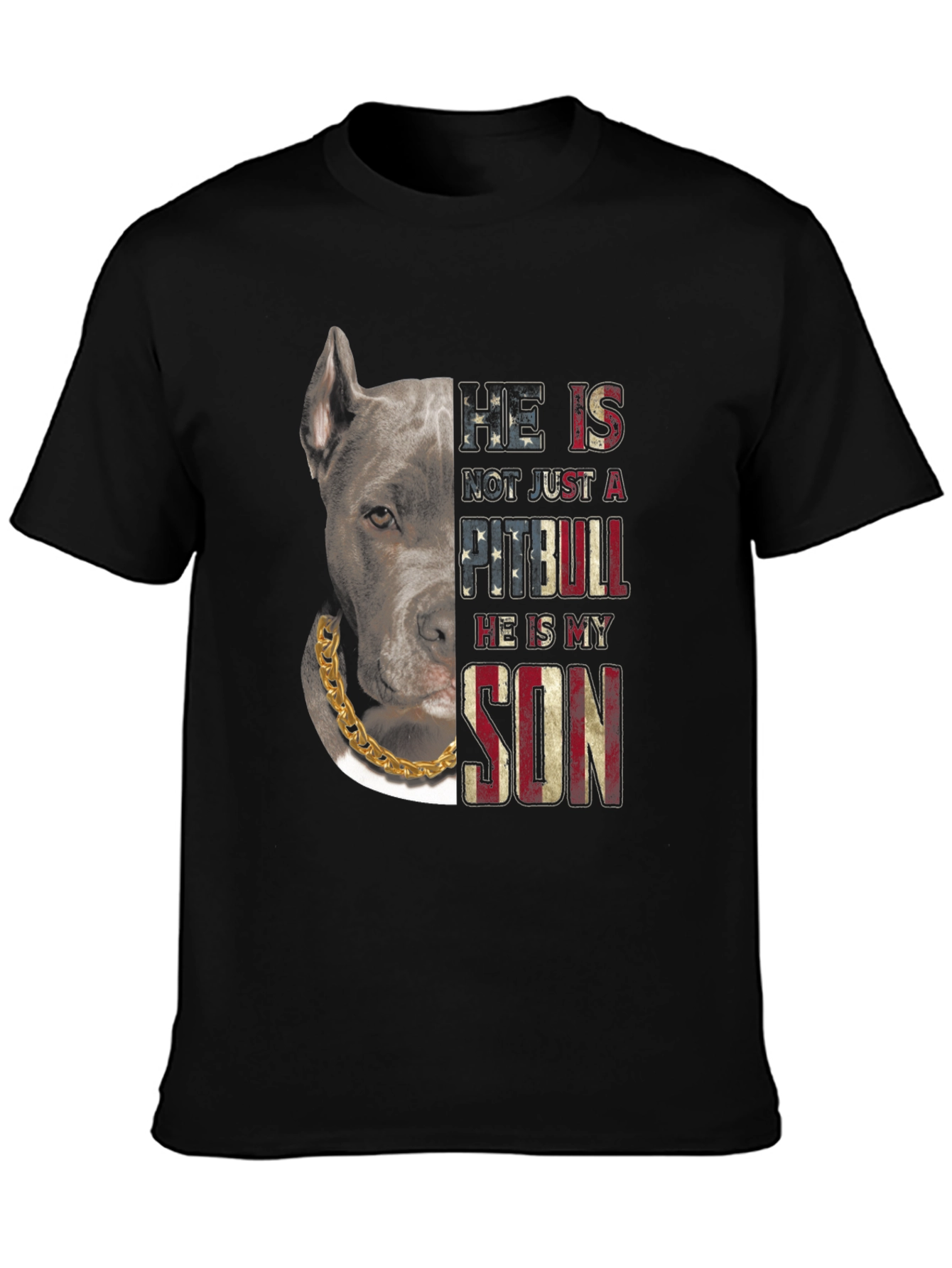 Pitbull Son American Flag T-Shirt