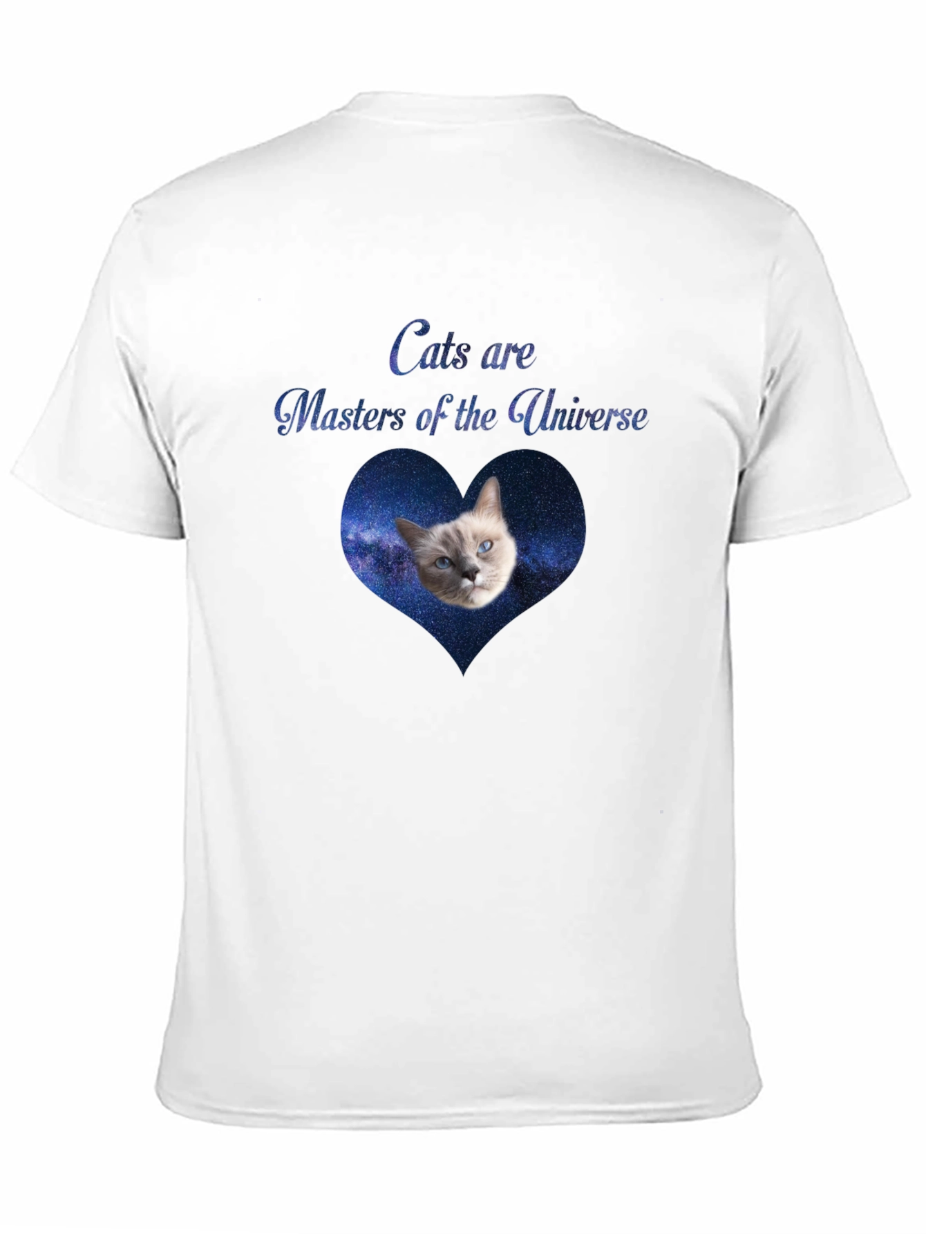 Cats Are Masters of the Universe Black T-Shirt