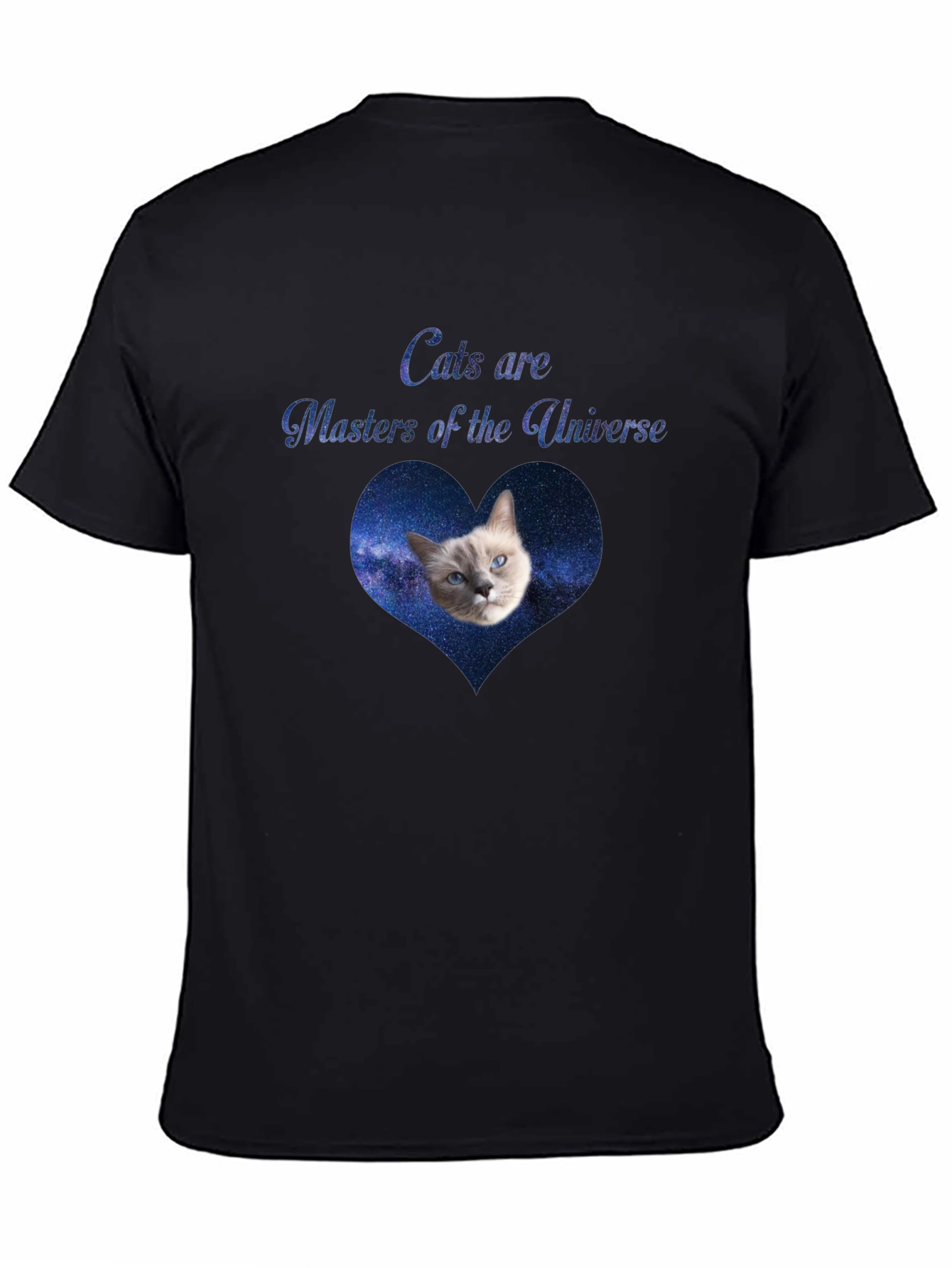 Cats Are Masters of the Universe Black T-Shirt
