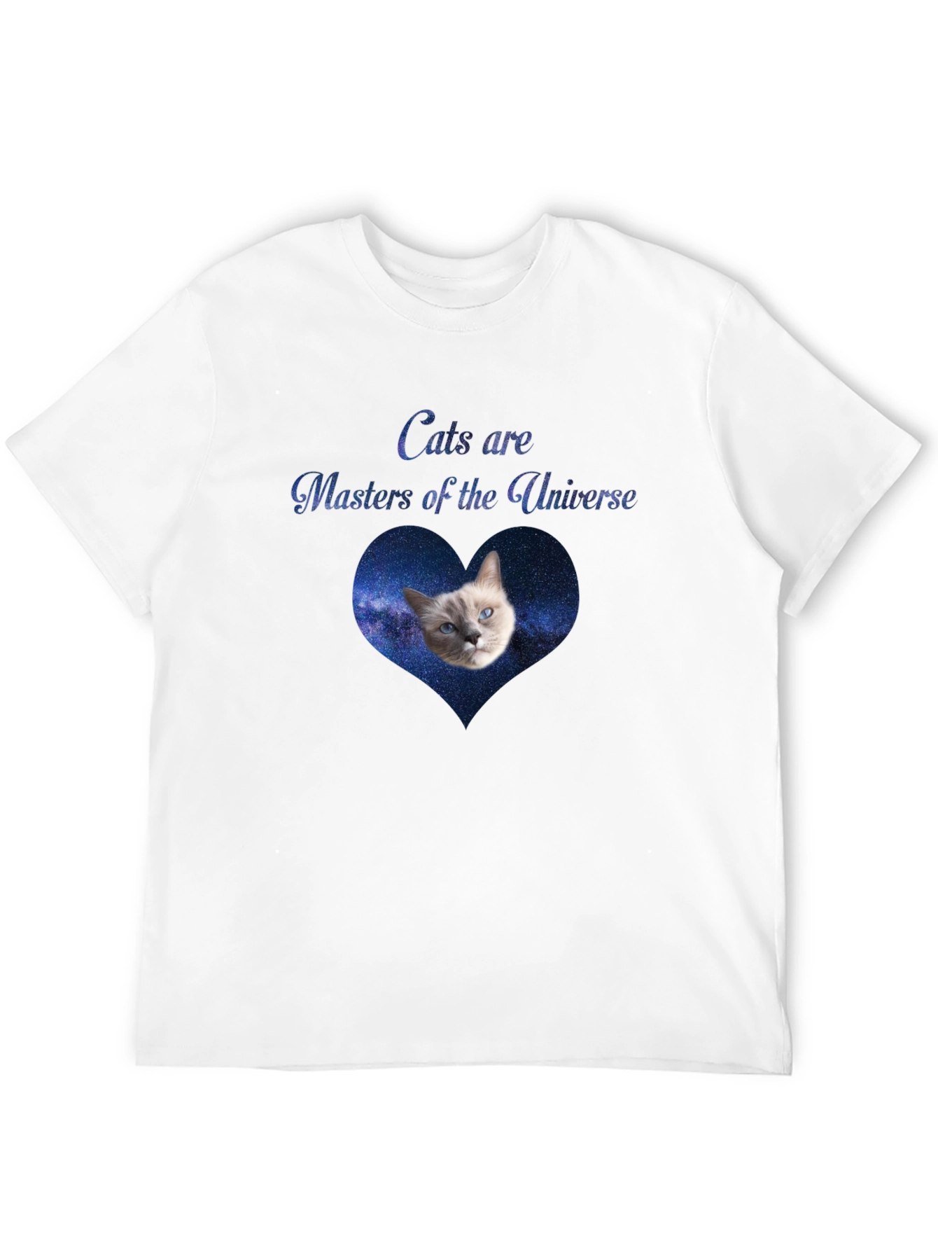 Cats Are Masters of the Universe Black T-Shirt