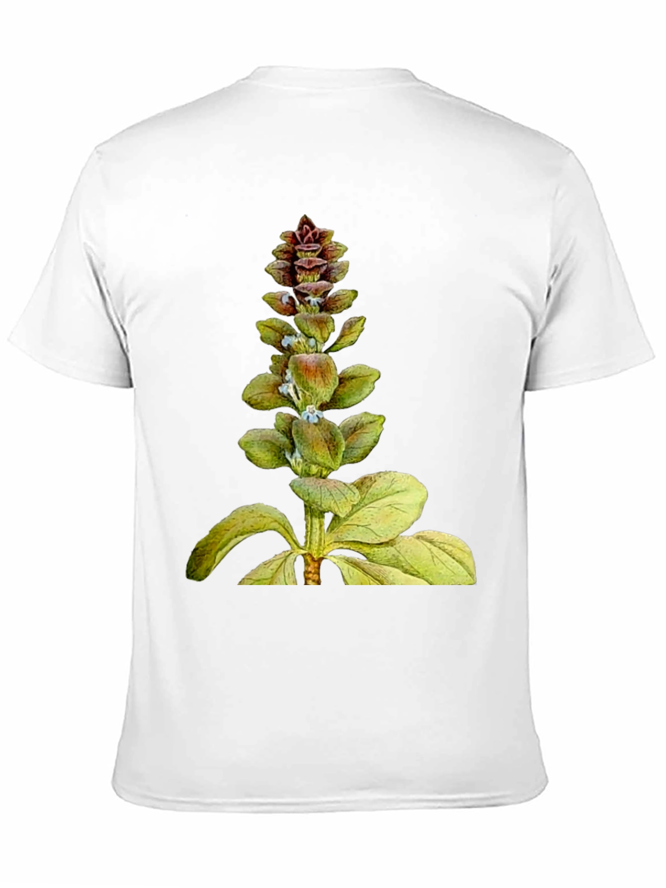 Botanical Plant Graphic T-Shirt
