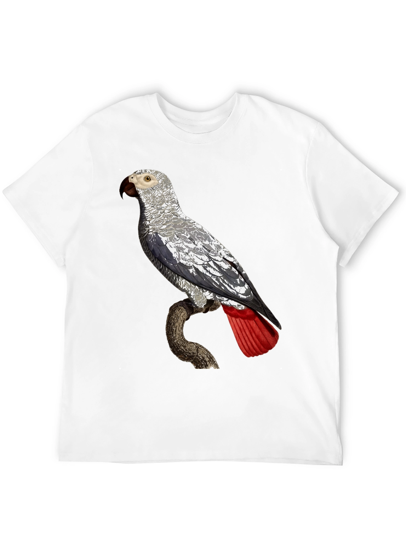 African Grey Parrot Graphic Tee - Unisex Black T-Shirt