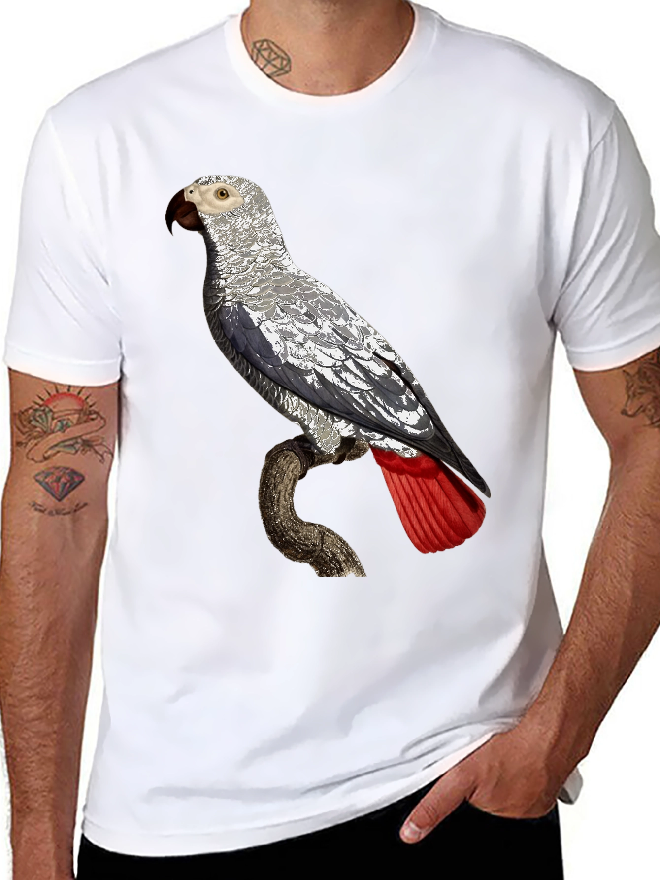African Grey Parrot Graphic Tee - Unisex Black T-Shirt