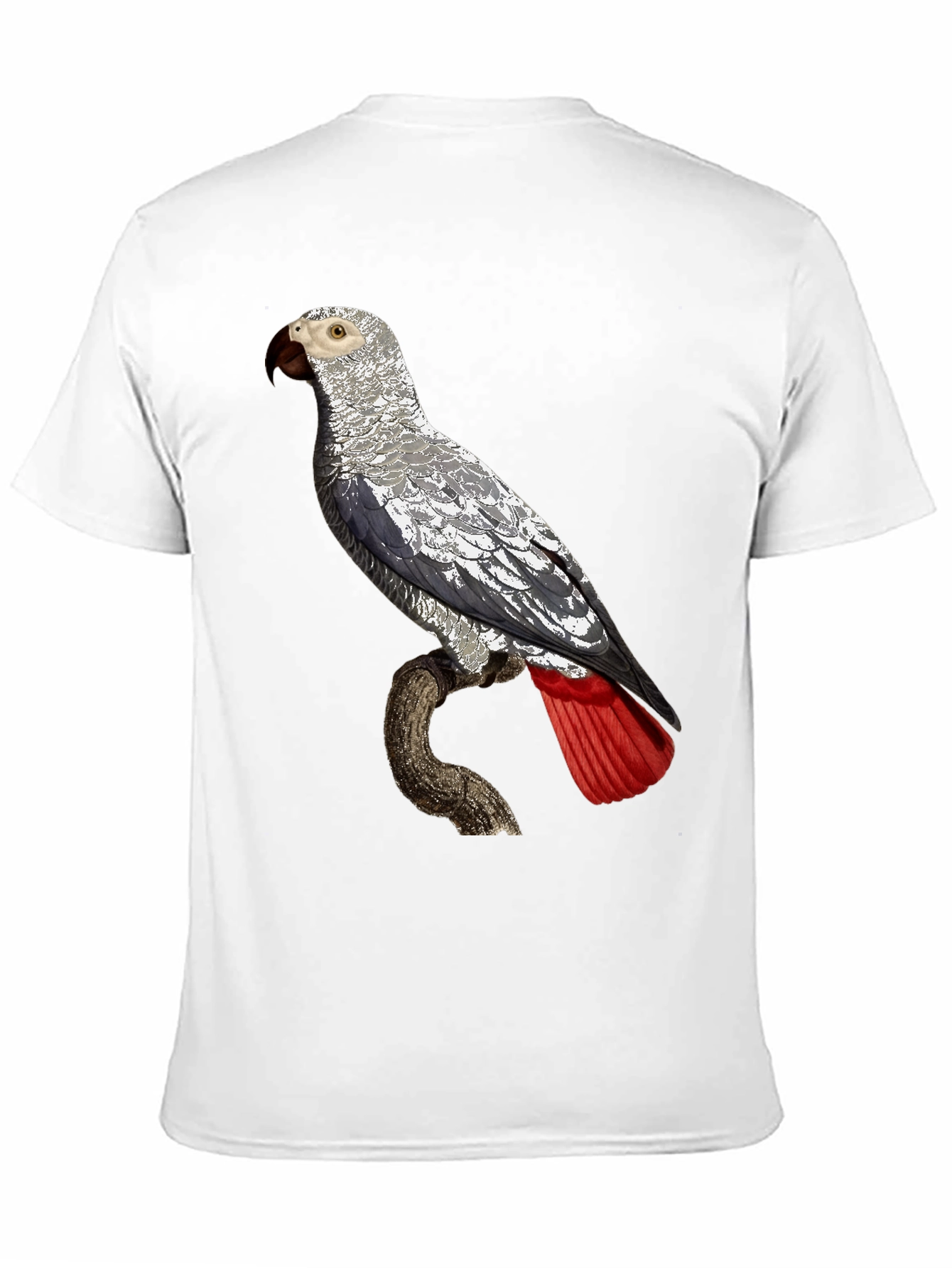 African Grey Parrot Graphic Tee - Unisex Black T-Shirt