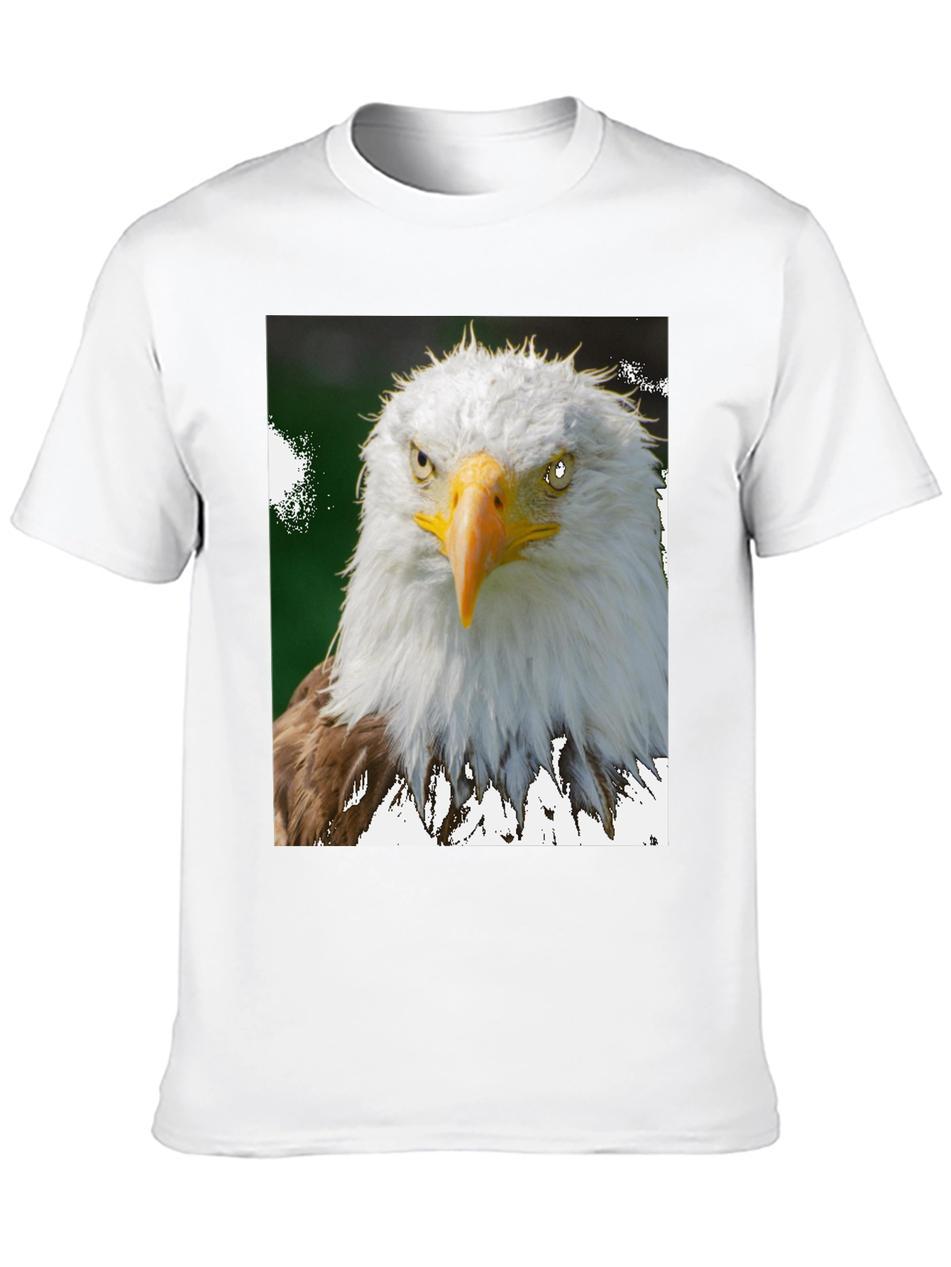 Eagle Graphic Tee - Patriotic Bird Print
