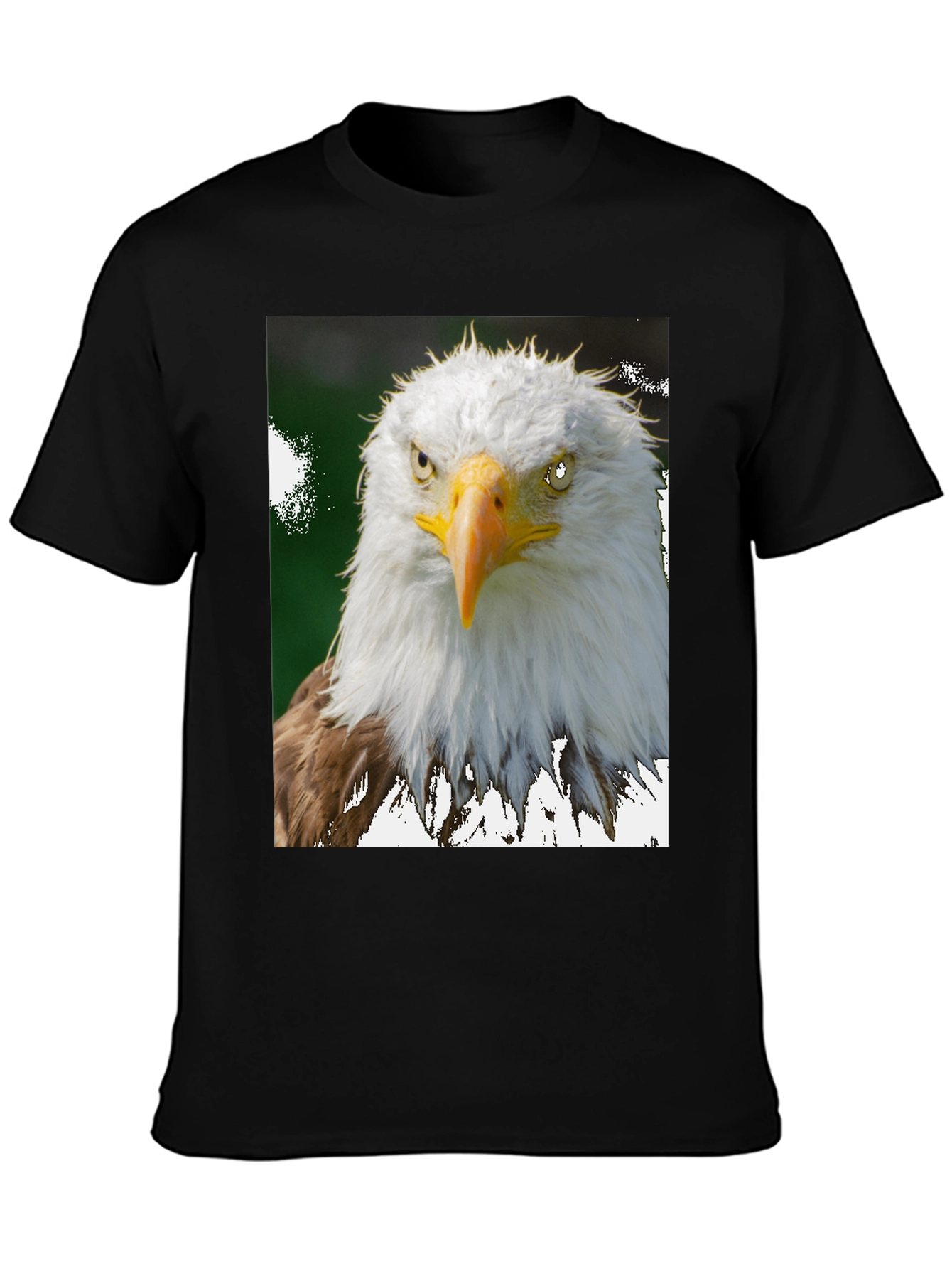 Eagle Graphic Tee - Patriotic Bird Print