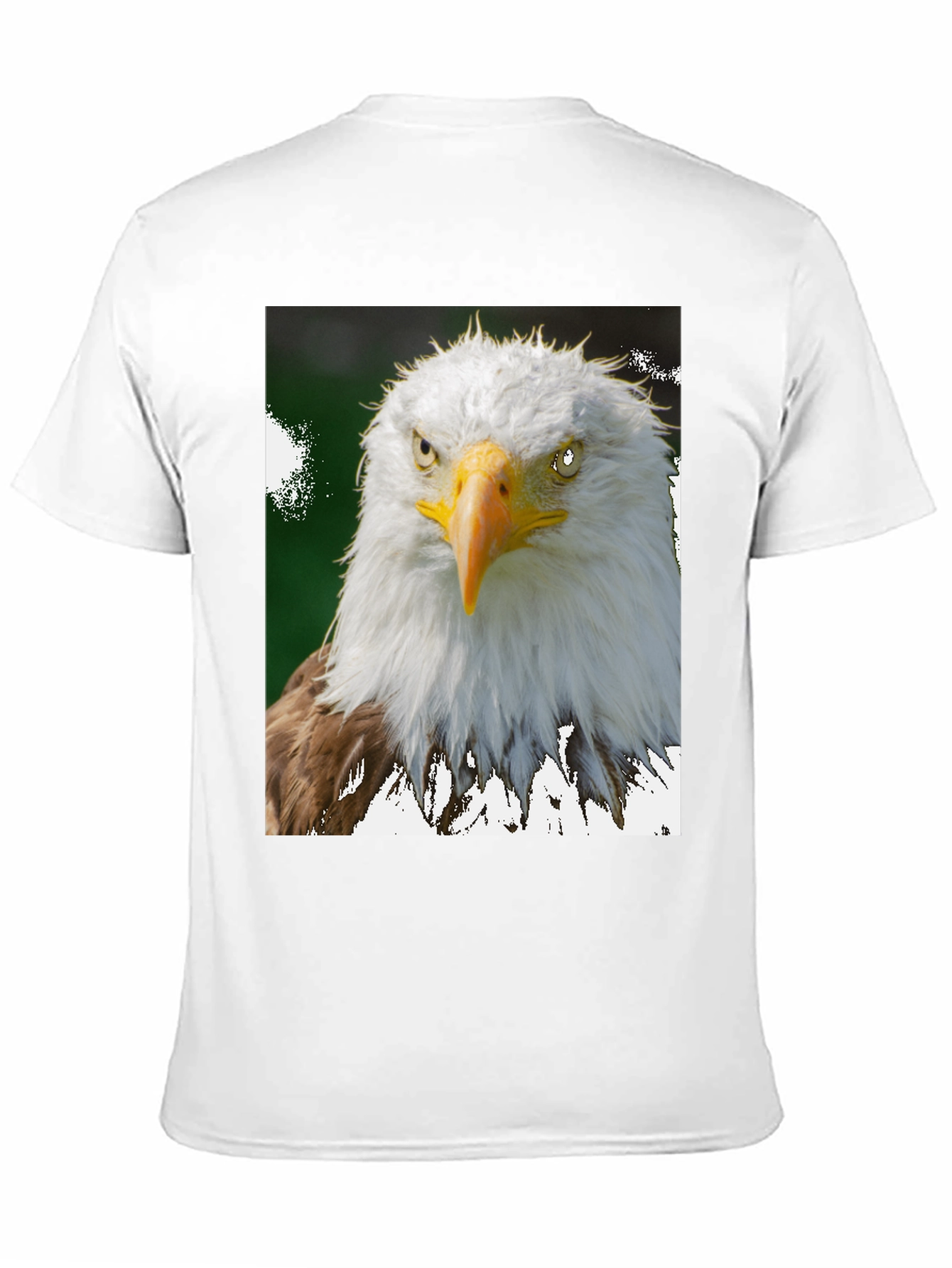 Eagle Graphic Tee - Patriotic Bird Print