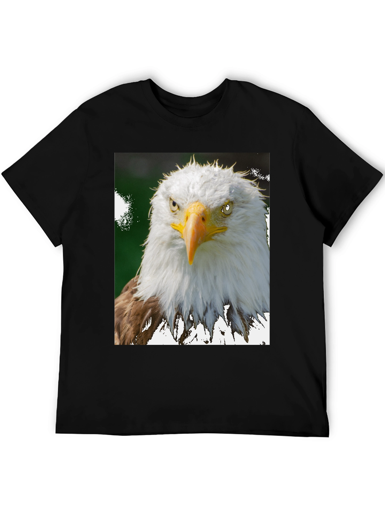 Eagle Graphic Tee - Patriotic Bird Print