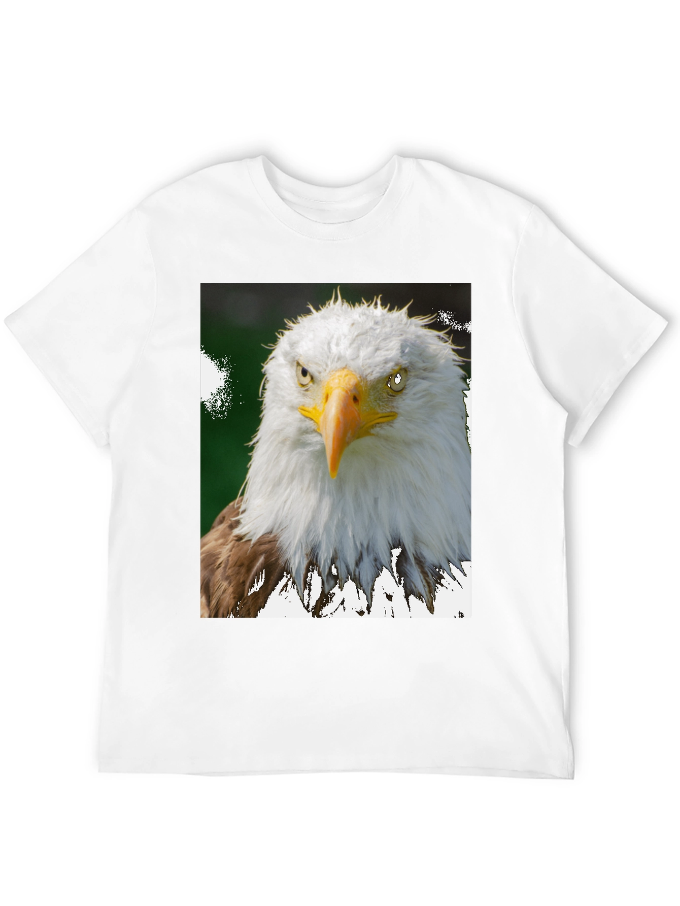 Eagle Graphic Tee - Patriotic Bird Print