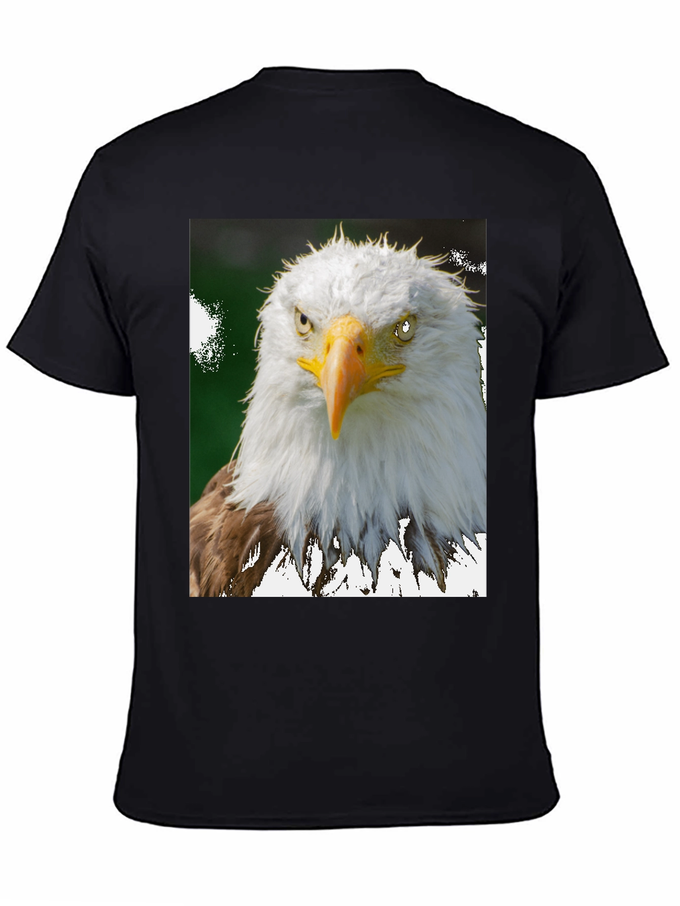Eagle Graphic Tee - Patriotic Bird Print