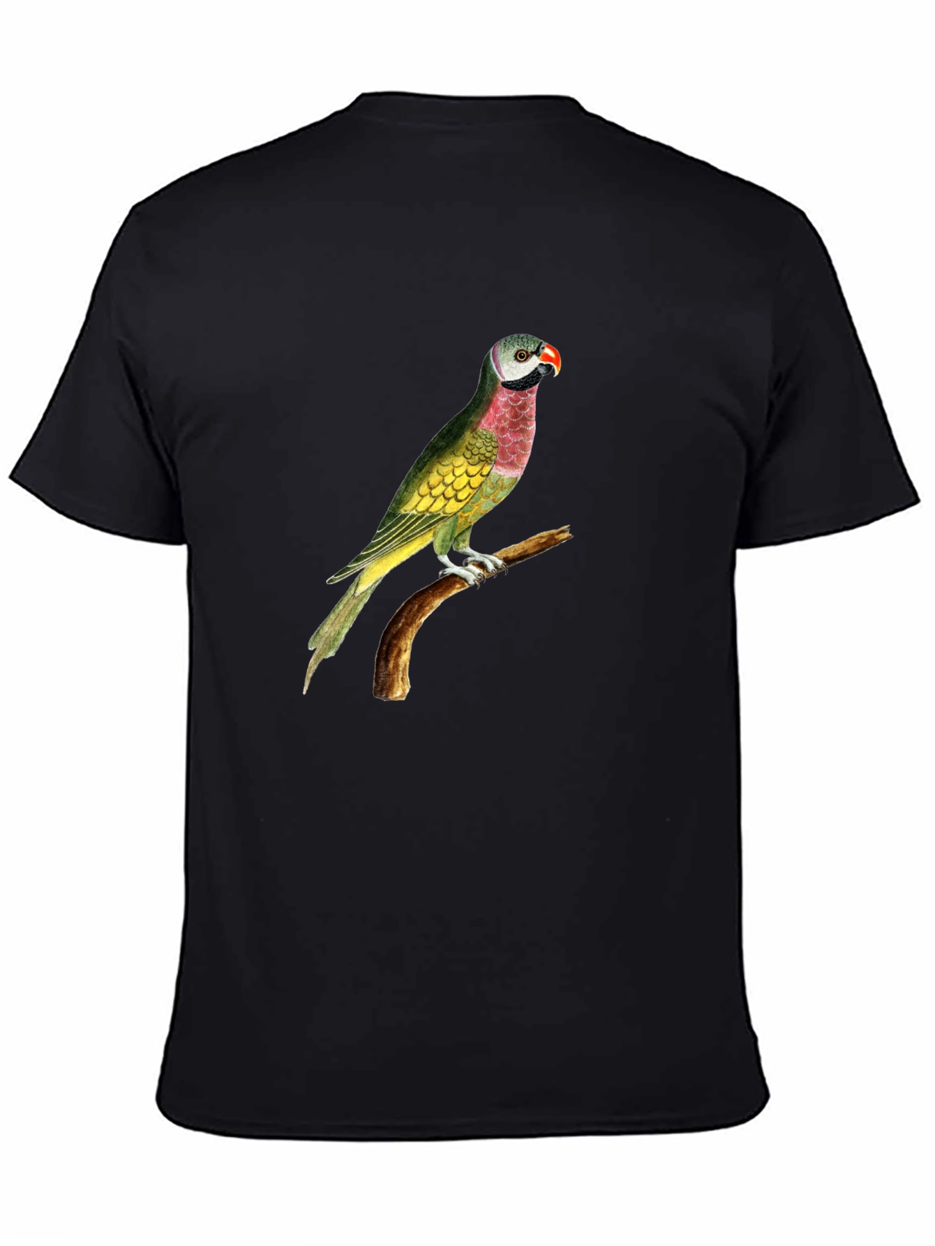 Parrot Graphic Tee - Black Cotton T-Shirt