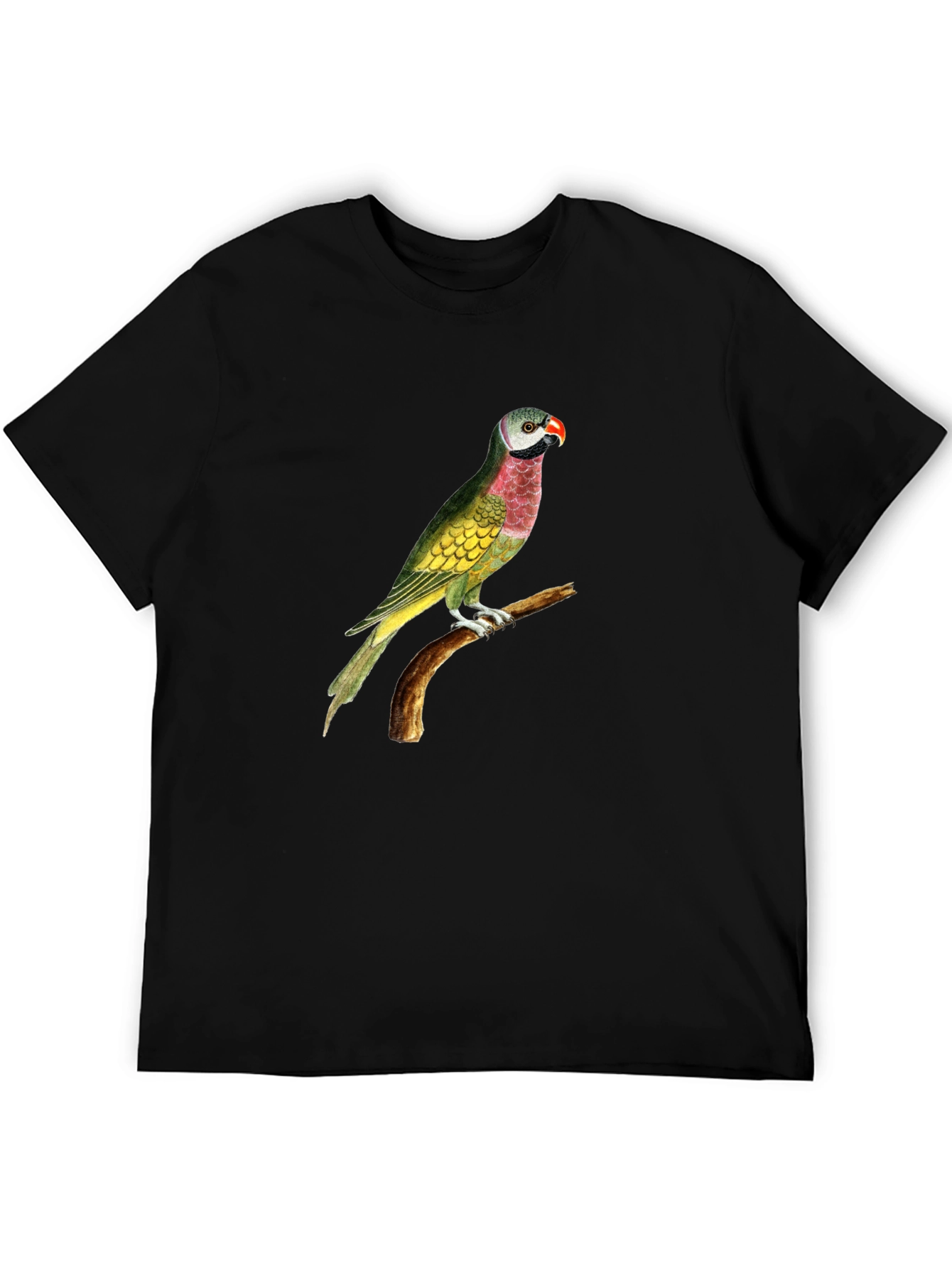 Parrot Graphic Tee - Black Cotton T-Shirt