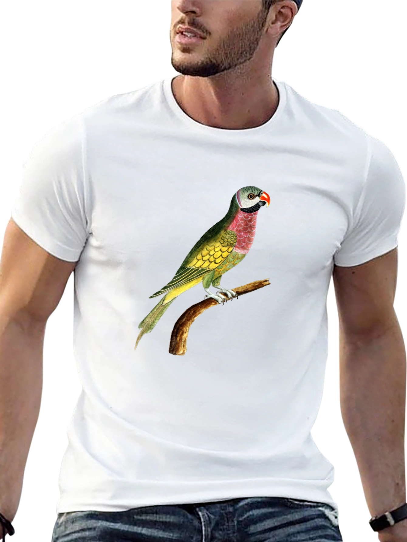 Parrot Graphic Tee - Black Cotton T-Shirt