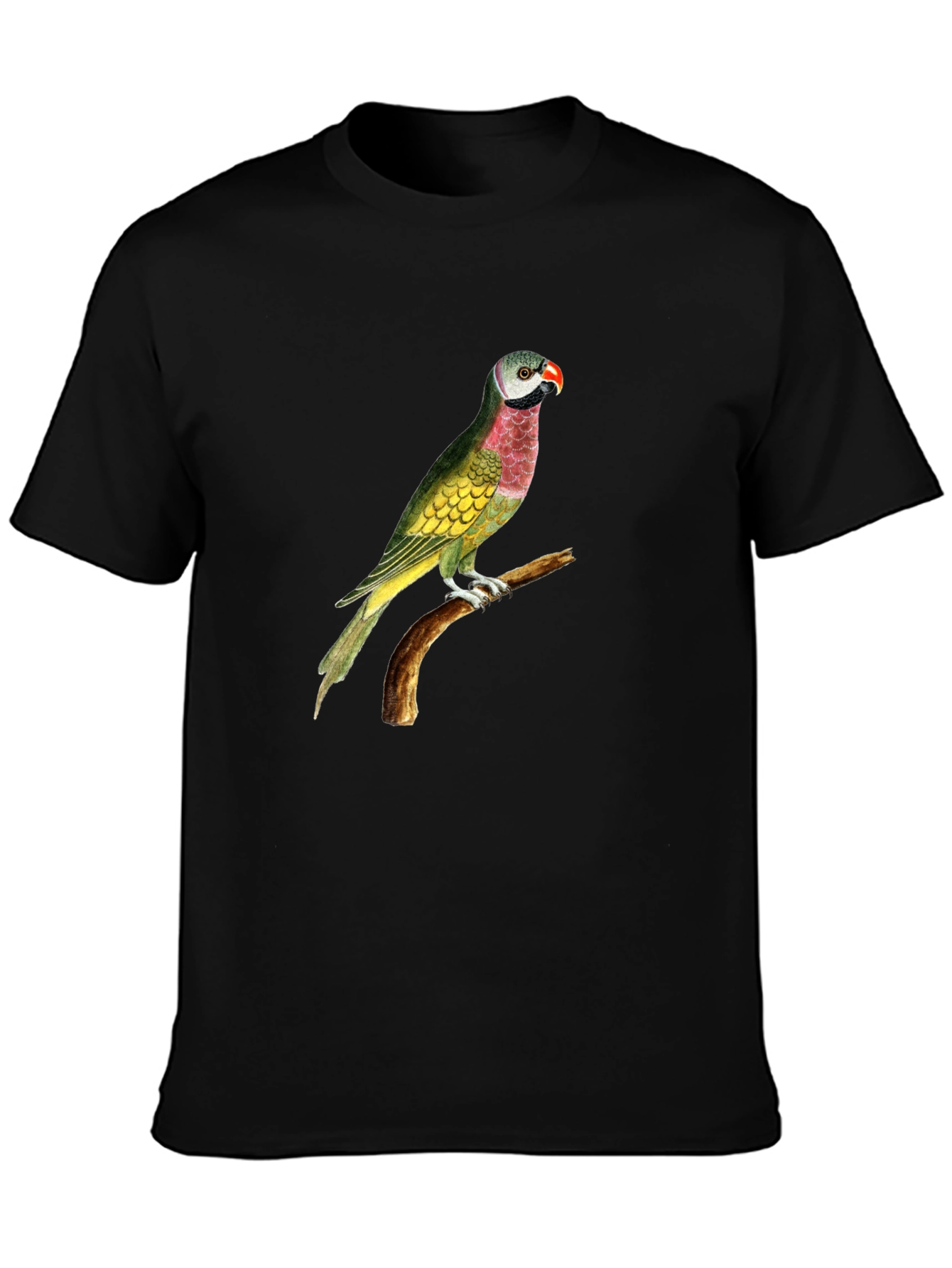 Parrot Graphic Tee - Black Cotton T-Shirt