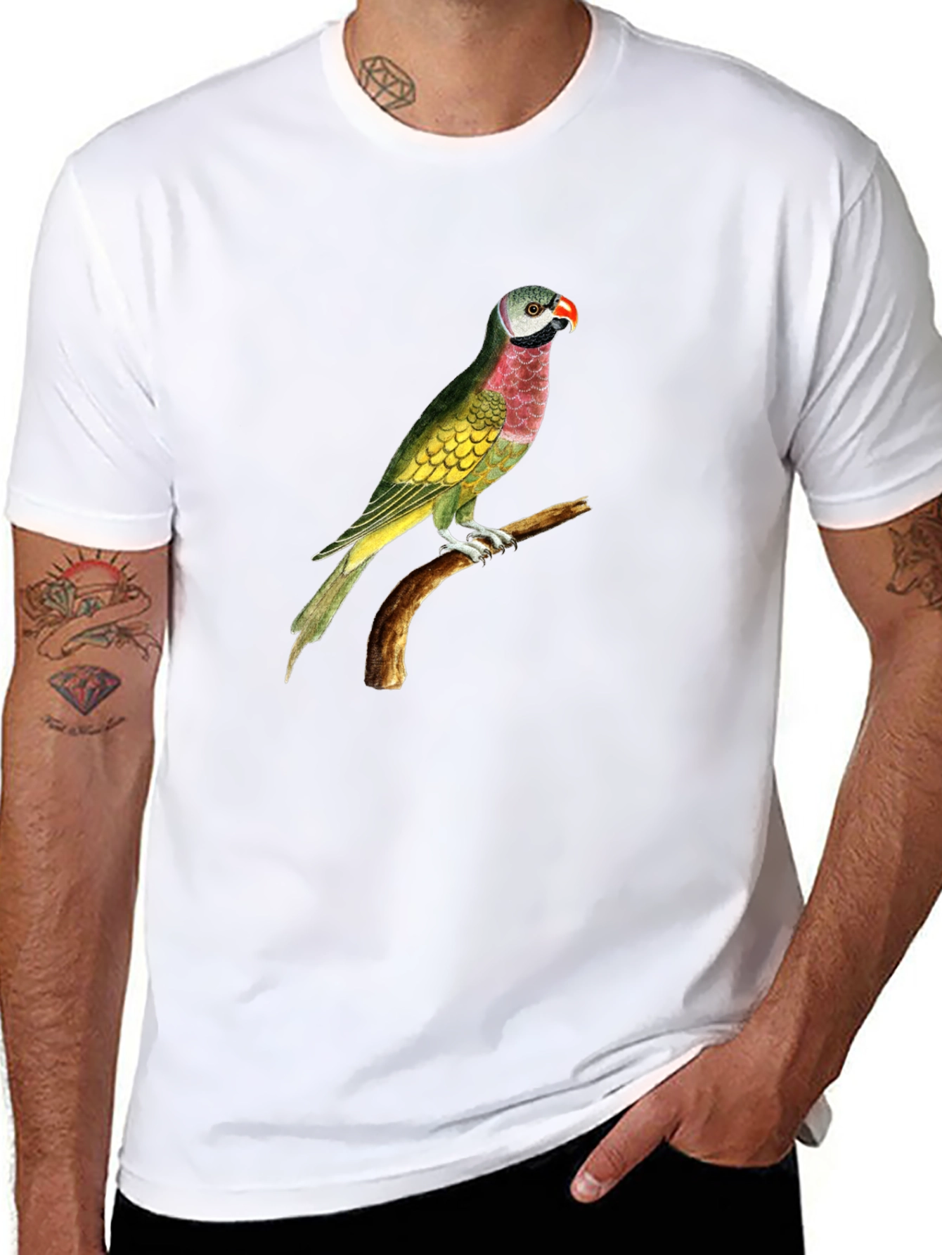 Parrot Graphic Tee - Black Cotton T-Shirt