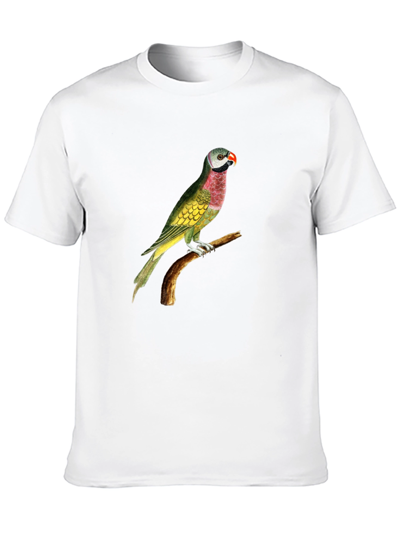 Parrot Graphic Tee - Black Cotton T-Shirt