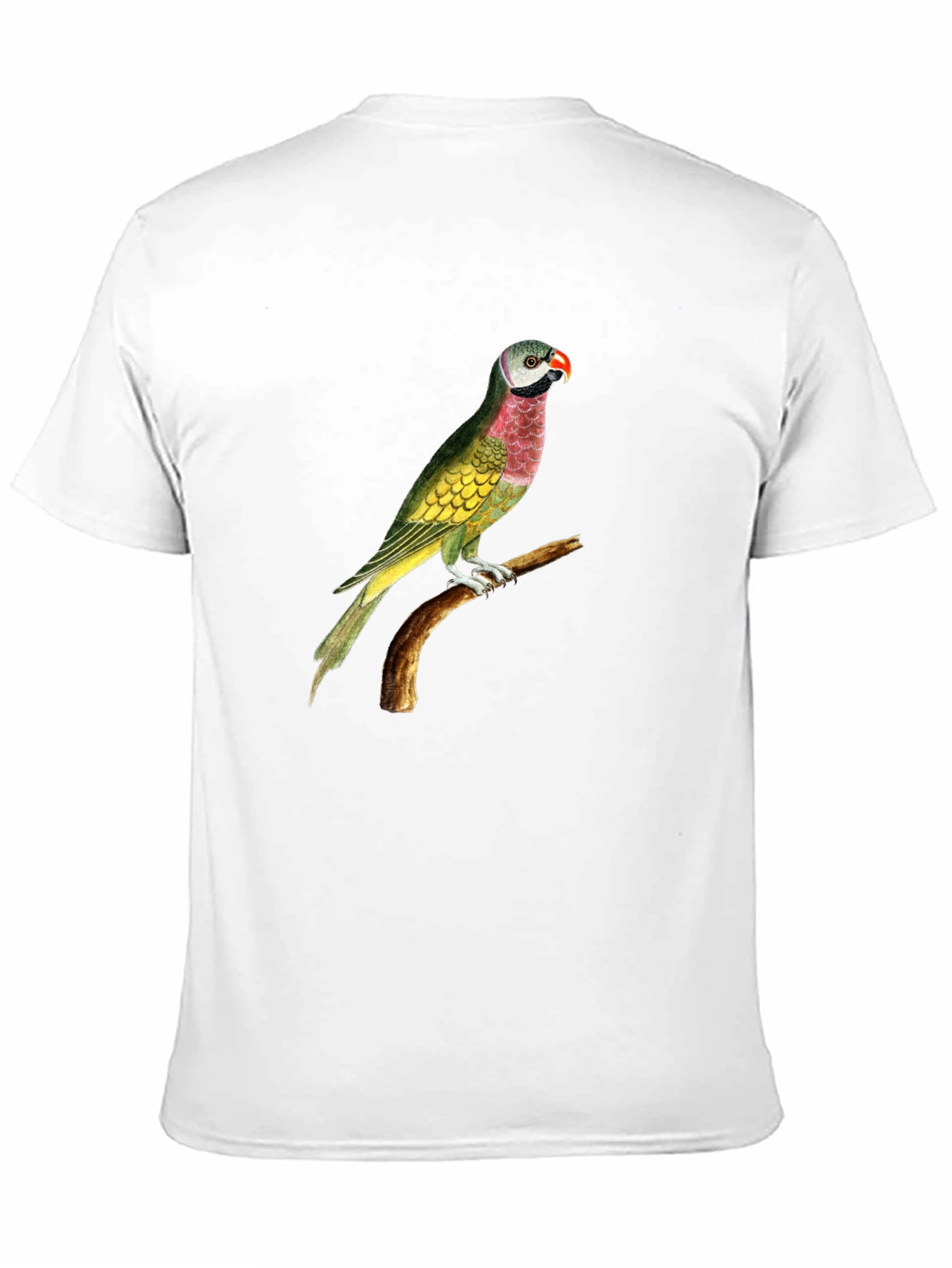 Parrot Graphic Tee - Black Cotton T-Shirt