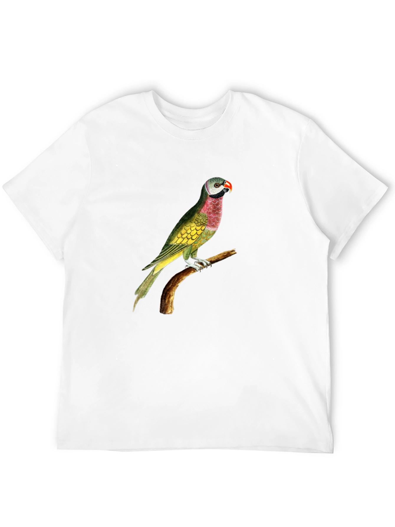 Parrot Graphic Tee - Black Cotton T-Shirt