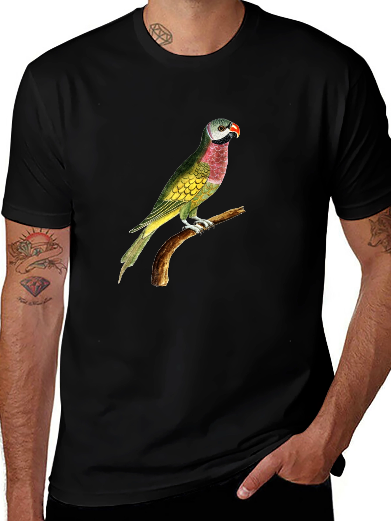Parrot Graphic Tee - Black Cotton T-Shirt