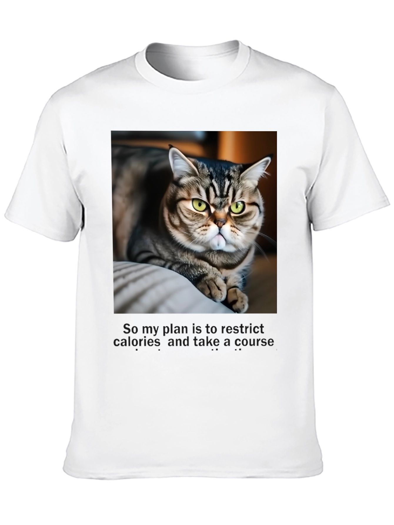 Funny Cat Graphic T-Shirt - Unisex Black Tee