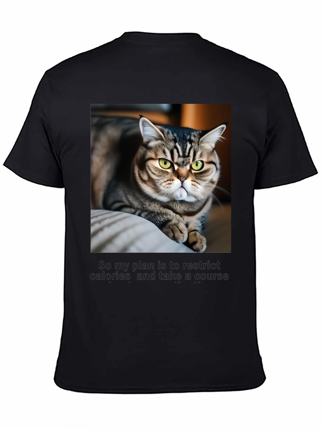 Funny Cat Graphic T-Shirt - Unisex Black Tee