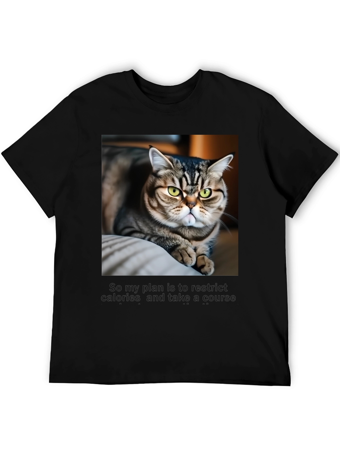 Funny Cat Graphic T-Shirt - Unisex Black Tee