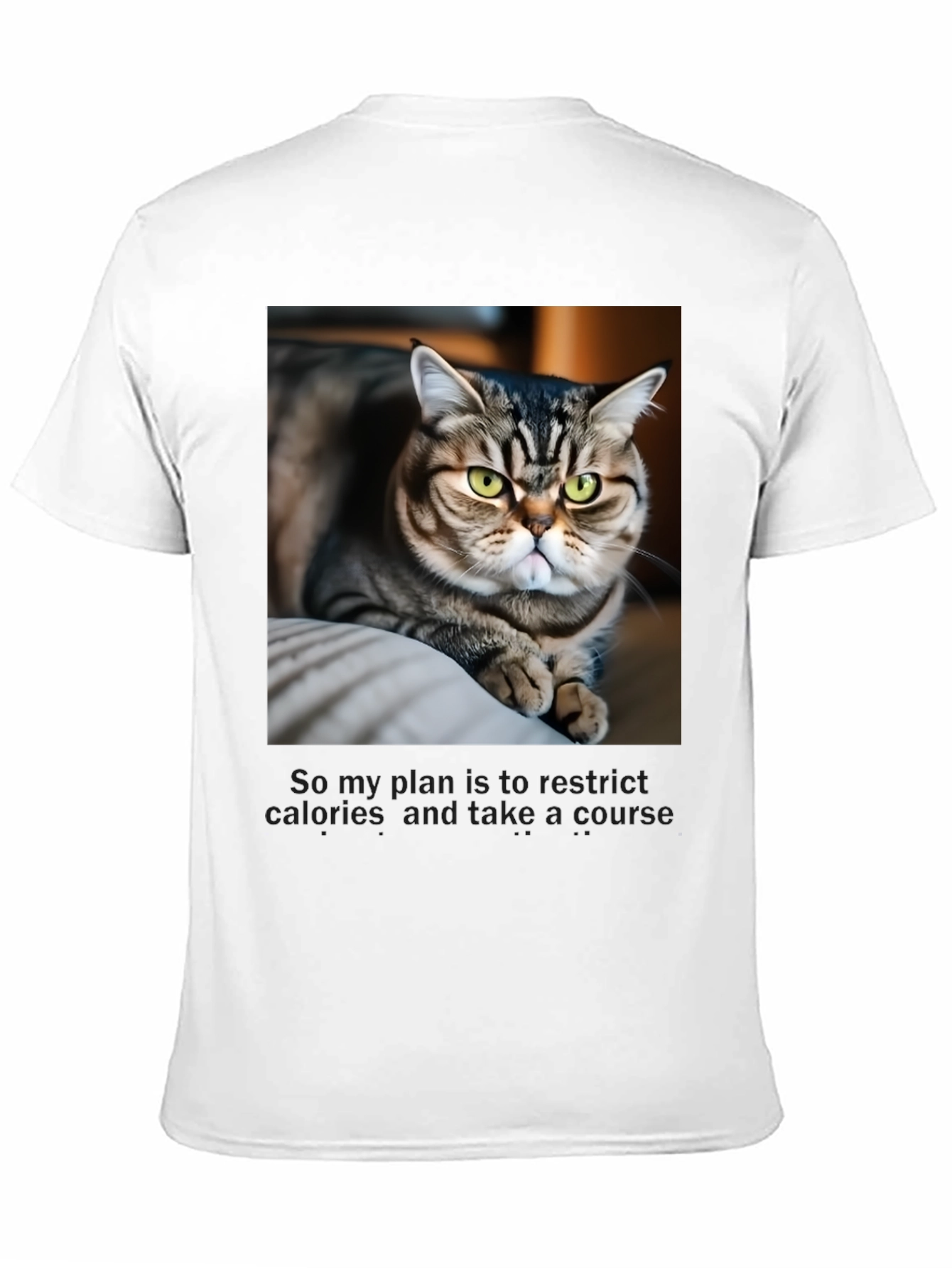 Funny Cat Graphic T-Shirt - Unisex Black Tee